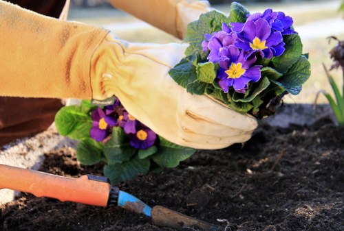 Supplier audit checklist for arboricultural services