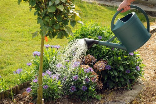 Stump grinding and tidy tree waste removal at an Archway property