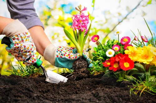 Garden hedge cutting and waste removal in Archway